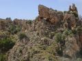 Corse121