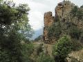 Corse264