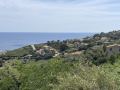Corse294