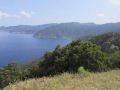 Corse129