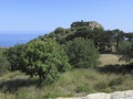 Corse150