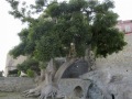 Corse159