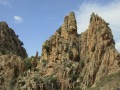 Corse181