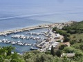 Corse183