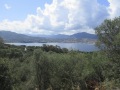 Corse186