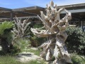 Corse192