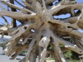 Corse193