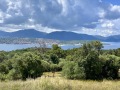 Corse203