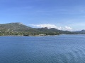 Corse208