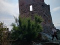Corse289