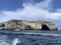 Corse36