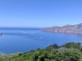 Corse37