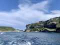 Corse41
