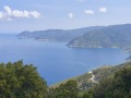 Corse54