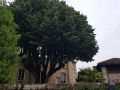 20190610_105222_compress17
