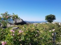 20190629_091841