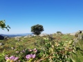 20190629_091850
