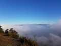 IMG-20220820-WA0001