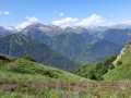 IMG-20220609-WA0009
