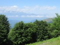 IMG_1968