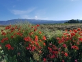 20180520_085528