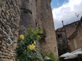 20180520_160344